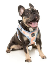 Yazd - Dog Step In Harness